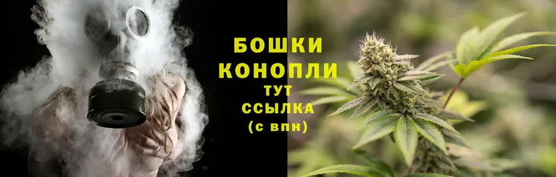 закладки  Алагир  МАРИХУАНА White Widow 